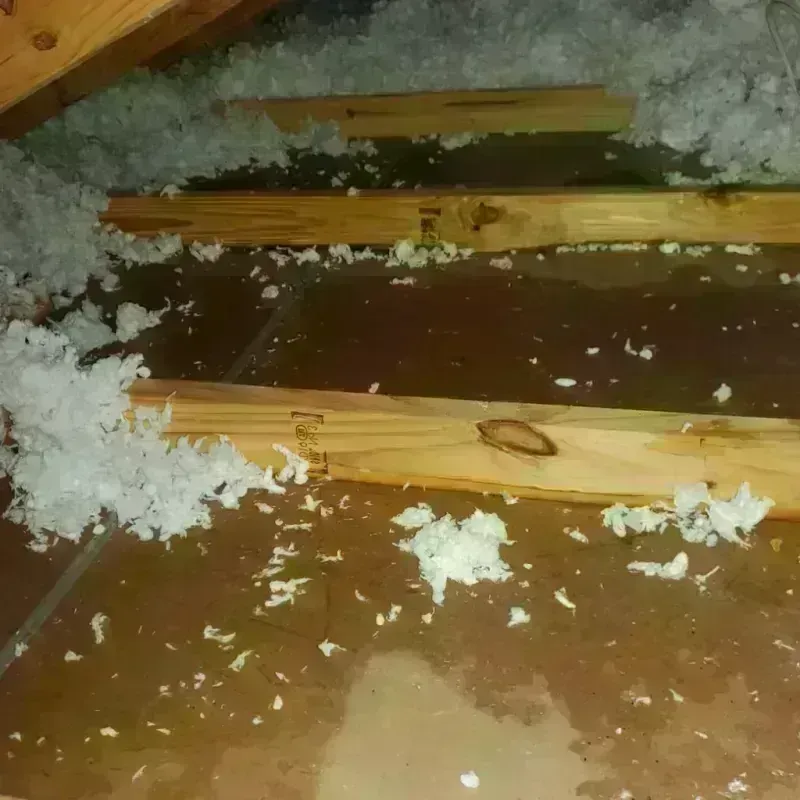 Attic Water Damage in Pitcairn, PA